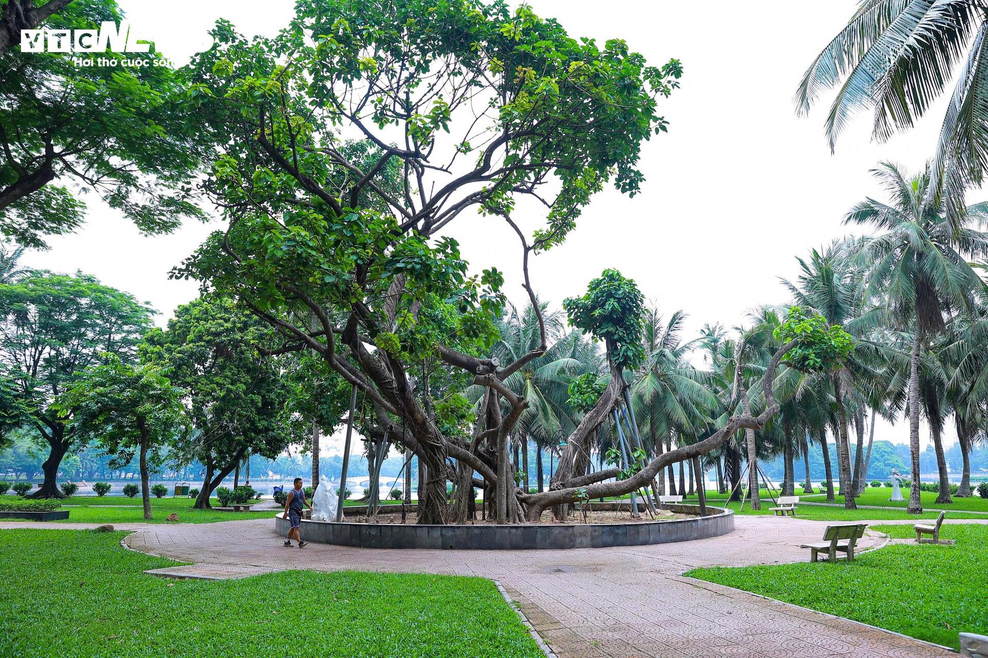 Công viên Thống Nhất hồi sinh mạnh mẽ sau khi hạ rào- Ảnh 11. Công viên Thống Nhất hồi sinh mạnh mẽ sau khi hạ rào- Ảnh 11.
