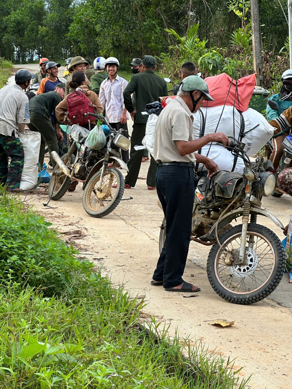 Cả ngàn người ở Đà Nẵng vào rừng nhặt thứ hạt rơi từ trên trời xuống, thu tiền triệu- Ảnh 3. Cả ngàn người ở Đà Nẵng vào rừng nhặt thứ hạt rơi từ trên trời xuống, thu tiền triệu- Ảnh 3.