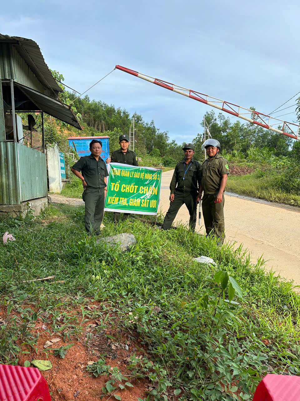 Cả ngàn người ở Đà Nẵng vào rừng nhặt thứ hạt rơi từ trên trời xuống, thu tiền triệu- Ảnh 13. Cả ngàn người ở Đà Nẵng vào rừng nhặt thứ hạt rơi từ trên trời xuống, thu tiền triệu- Ảnh 13.
