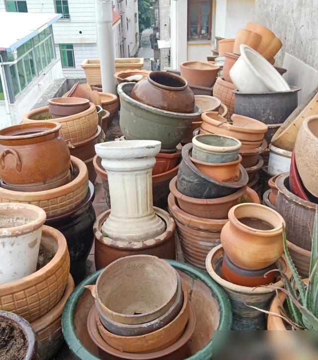 5 món đồ lãng phí nhất đời tôi từng mua- Ảnh 4. 5 món đồ lãng phí nhất đời tôi từng mua- Ảnh 4.