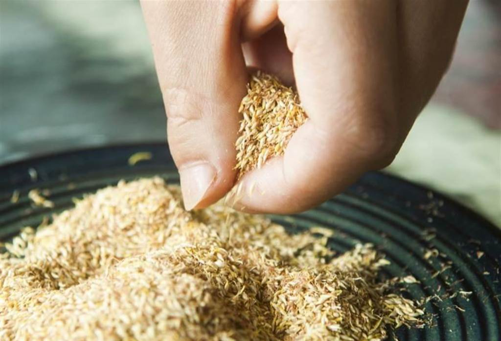 Thức quà mùa hè từ núi rừng chỉ có thể thưởng thức khi đến Cao Bằng- Ảnh 5. Thức quà mùa hè từ núi rừng chỉ có thể thưởng thức khi đến Cao Bằng- Ảnh 5.