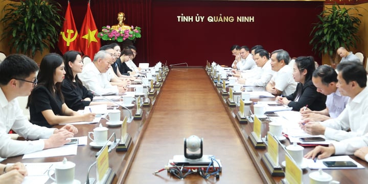 Nhiều doanh nghiệp lớn đề xuất đầu tư hàng tỷ USD vào Quảng Ninh- Ảnh 1. Nhiều doanh nghiệp lớn đề xuất đầu tư hàng tỷ USD vào Quảng Ninh- Ảnh 1.