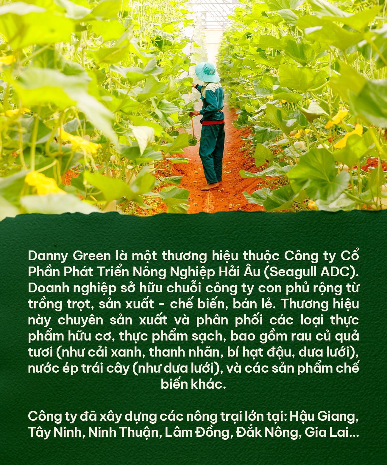 Đại gia hàng hải mang tiếng "rửa tiền" ở Ngã 6 Phù Đổng: Bạn bè bảo tôi toàn mang tiền làm chuyện tào lao- Ảnh 16. Đại gia hàng hải mang tiếng "rửa tiền" ở Ngã 6 Phù Đổng: Bạn bè bảo tôi toàn mang tiền làm chuyện tào lao- Ảnh 16.