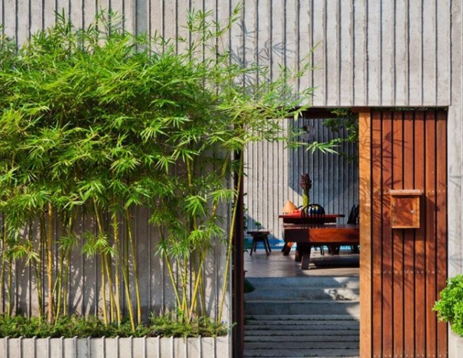 Ông bà dặn KHÔNG trồng cây này trước cửa, người khôn nghe lời, người dại chống đối!- Ảnh 3. Ông bà dặn KHÔNG trồng cây này trước cửa, người khôn nghe lời, người dại chống đối!- Ảnh 3.