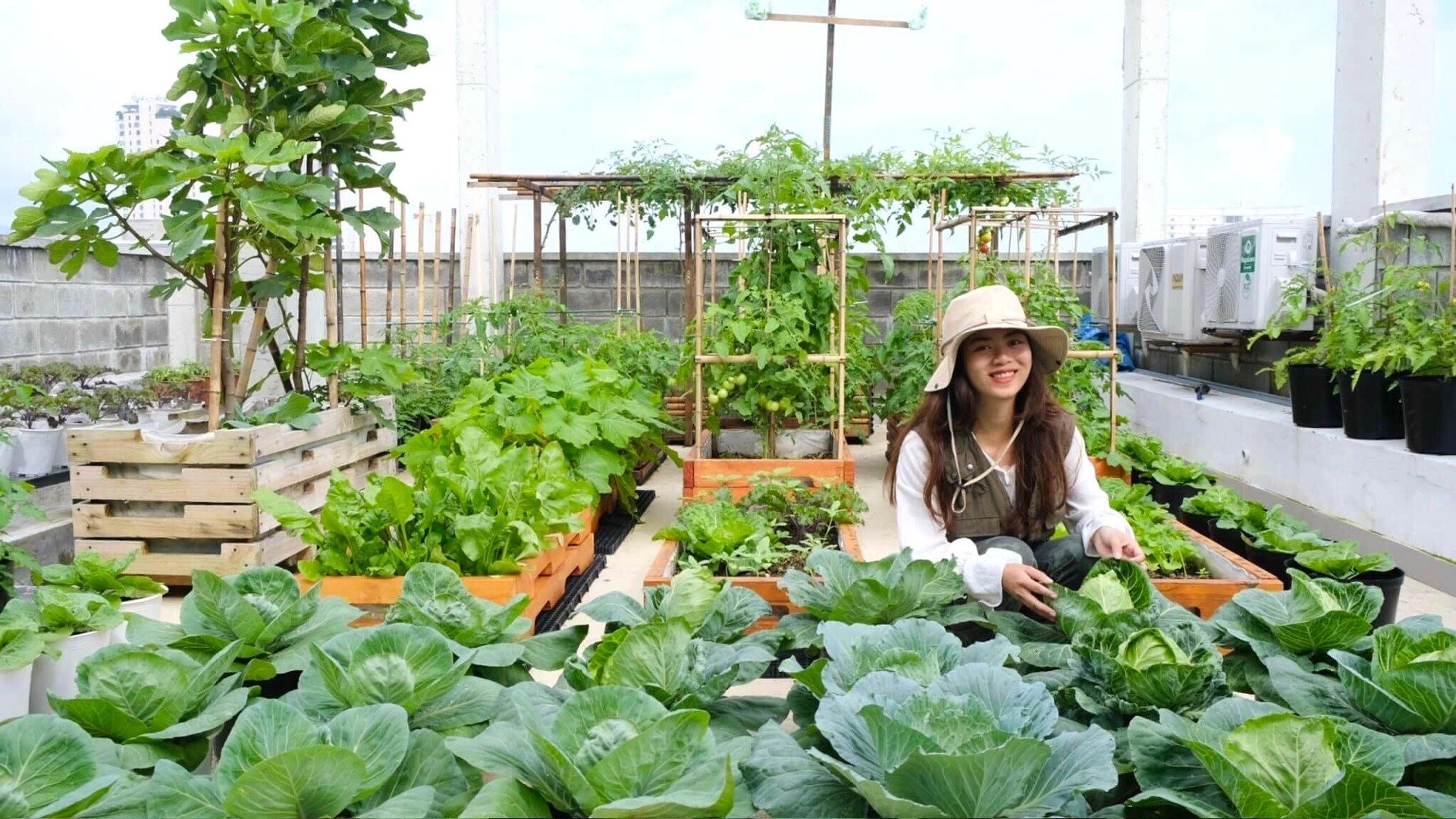 Mê mẩn khu vườn sân thượng đẹp 'như vẽ bằng AI' của mẹ đảm Đà Nẵng- Ảnh 2. Mê mẩn khu vườn sân thượng đẹp 'như vẽ bằng AI' của mẹ đảm Đà Nẵng- Ảnh 2.