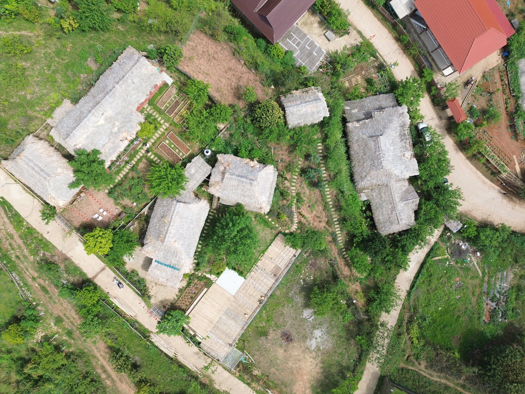 Bật khóc khi nghe giá thuê 3.000m2 đất khi về núi sống sau 10 năm bôn ba Hà Nội- Ảnh 2. Bật khóc khi nghe giá thuê 3.000m2 đất khi về núi sống sau 10 năm bôn ba Hà Nội- Ảnh 2.