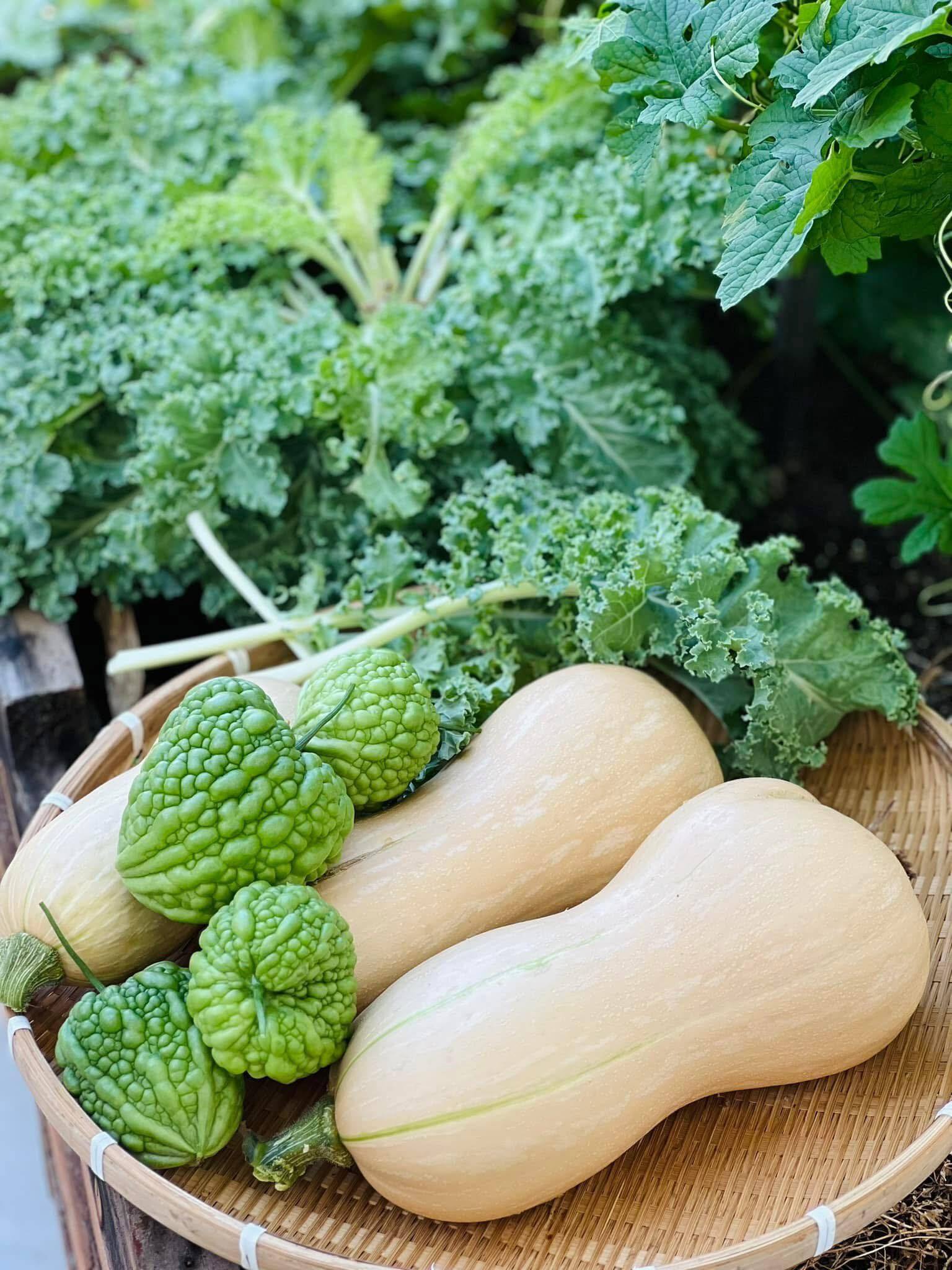 Mê mẩn khu vườn sân thượng đẹp 'như vẽ bằng AI' của mẹ đảm Đà Nẵng- Ảnh 30. Mê mẩn khu vườn sân thượng đẹp 'như vẽ bằng AI' của mẹ đảm Đà Nẵng- Ảnh 30.