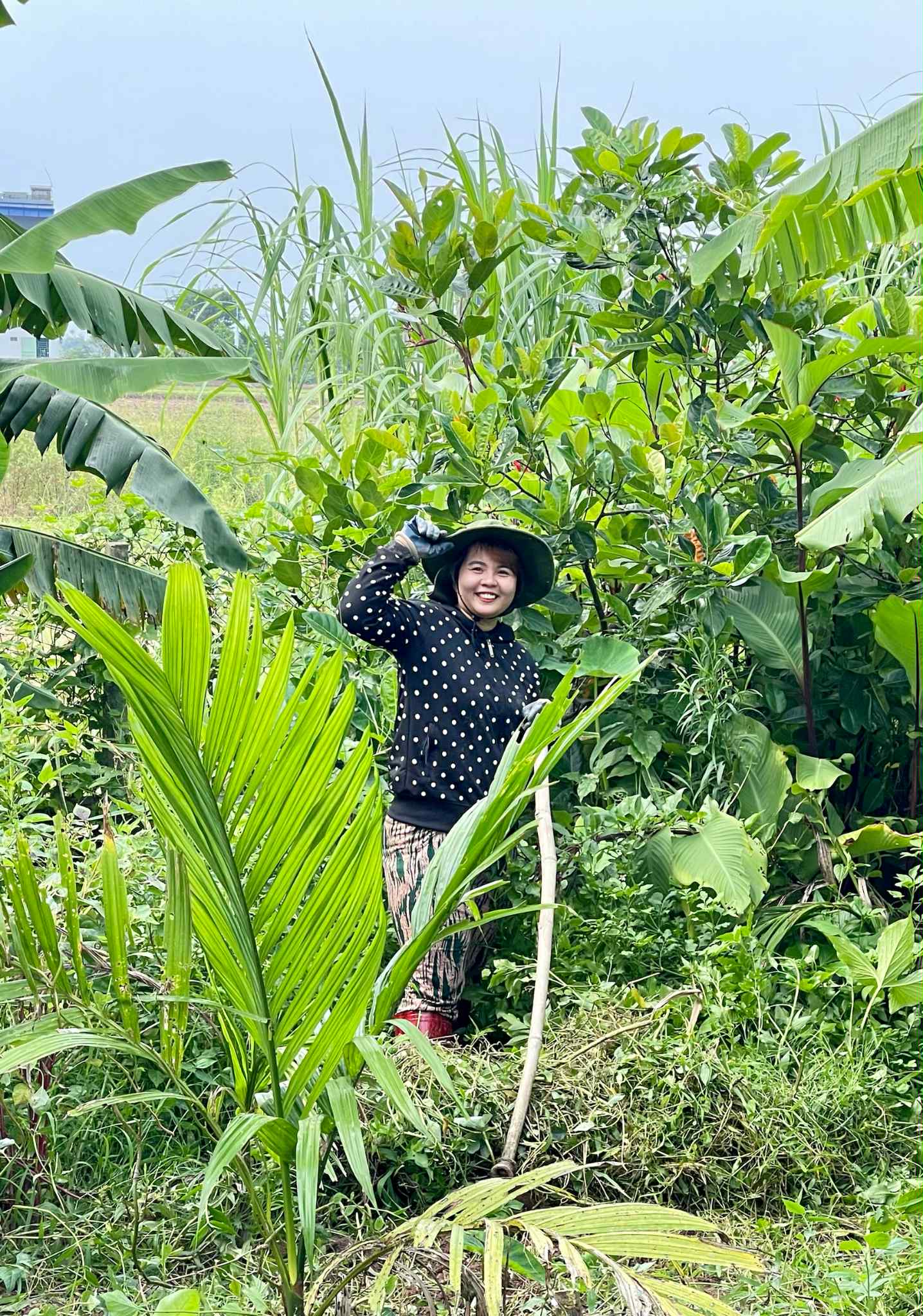 Mẹ 4 con ở Thái Nguyên sở hữu khối tài sản đáng mơ ước: 