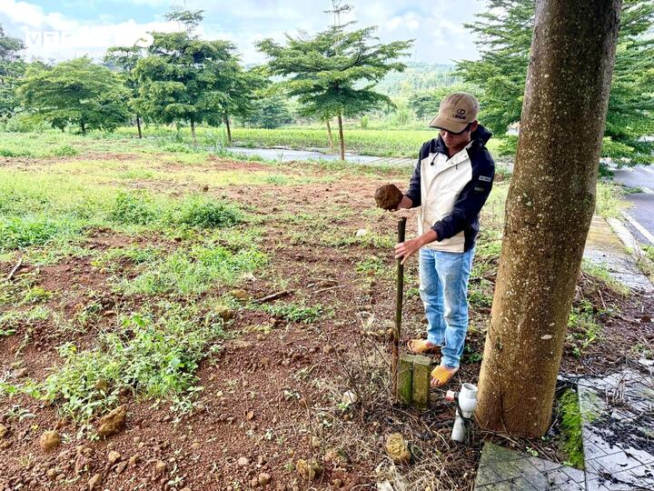 Đất nền Bảo Lộc rục rịch 'rã đông' sau 3 năm trầm lắng- Ảnh 6. Đất nền Bảo Lộc rục rịch 'rã đông' sau 3 năm trầm lắng- Ảnh 6.