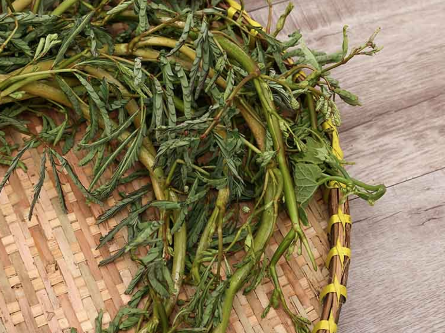 Loại rau 10.000 đồng/bó nhưng chỉ nhặt được 1 "nhúm": Ở nước ngoài có tiền cũng chưa chắc mua được!- Ảnh 2. Loại rau 10.000 đồng/bó nhưng chỉ nhặt được 1 "nhúm": Ở nước ngoài có tiền cũng chưa chắc mua được!- Ảnh 2.