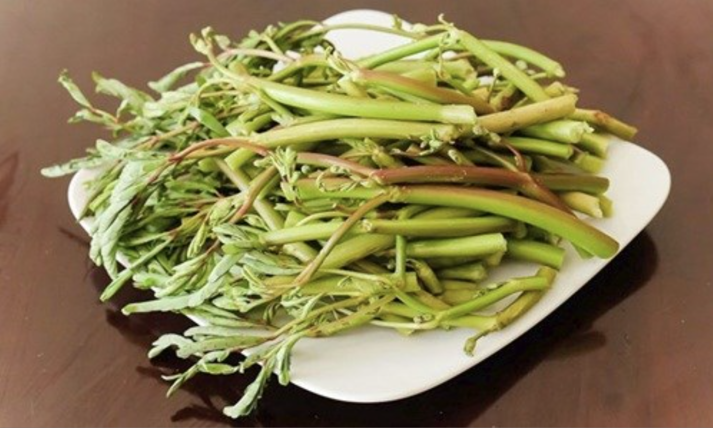 Loại rau 10.000 đồng/bó nhưng chỉ nhặt được 1 "nhúm": Ở nước ngoài có tiền cũng chưa chắc mua được!- Ảnh 3. Loại rau 10.000 đồng/bó nhưng chỉ nhặt được 1 "nhúm": Ở nước ngoài có tiền cũng chưa chắc mua được!- Ảnh 3.