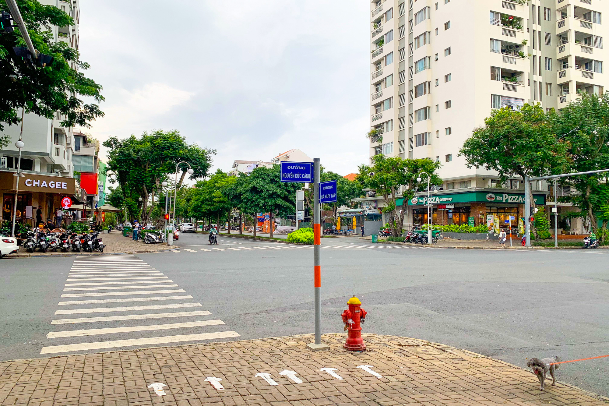 Cận cảnh cửa hàng đầu tiên của Chagee tại khu nhà giàu TP.HCM, giá thuê chỉ bằng1/5 ở đường Đồng Khởi- Ảnh 1. Cận cảnh cửa hàng đầu tiên của Chagee tại khu nhà giàu TP.HCM, giá thuê chỉ bằng1/5 ở đường Đồng Khởi- Ảnh 1.