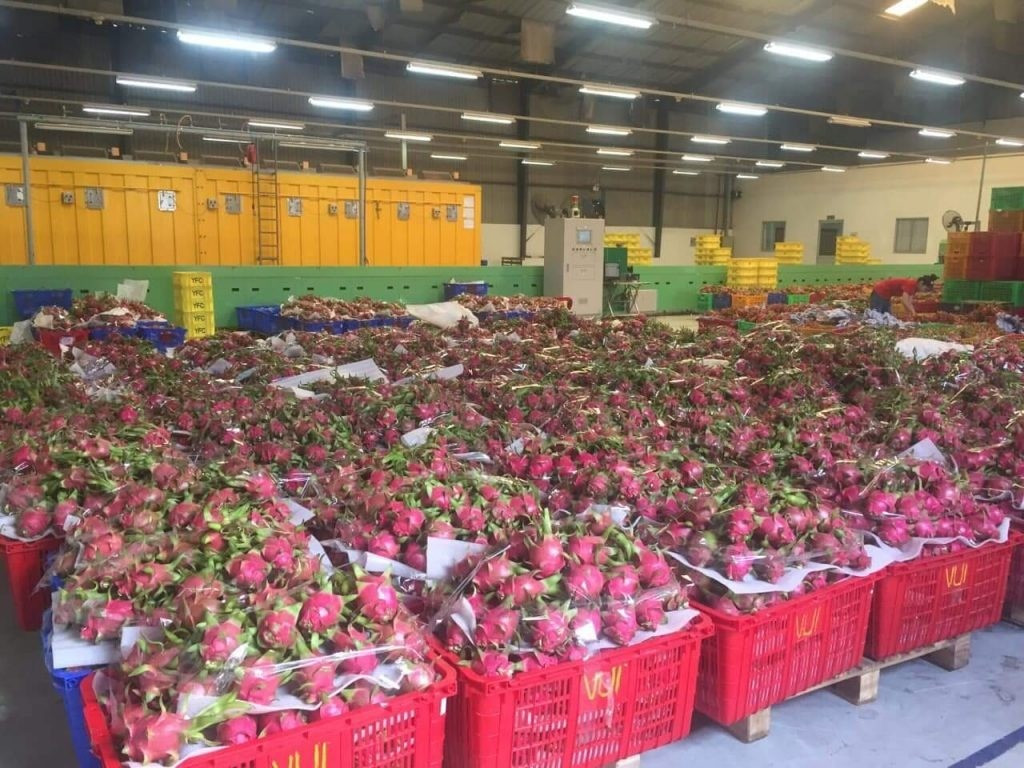 Nông sản Việt 'tắc đường' sang châu Âu- Ảnh 1. Nông sản Việt 'tắc đường' sang châu Âu- Ảnh 1.