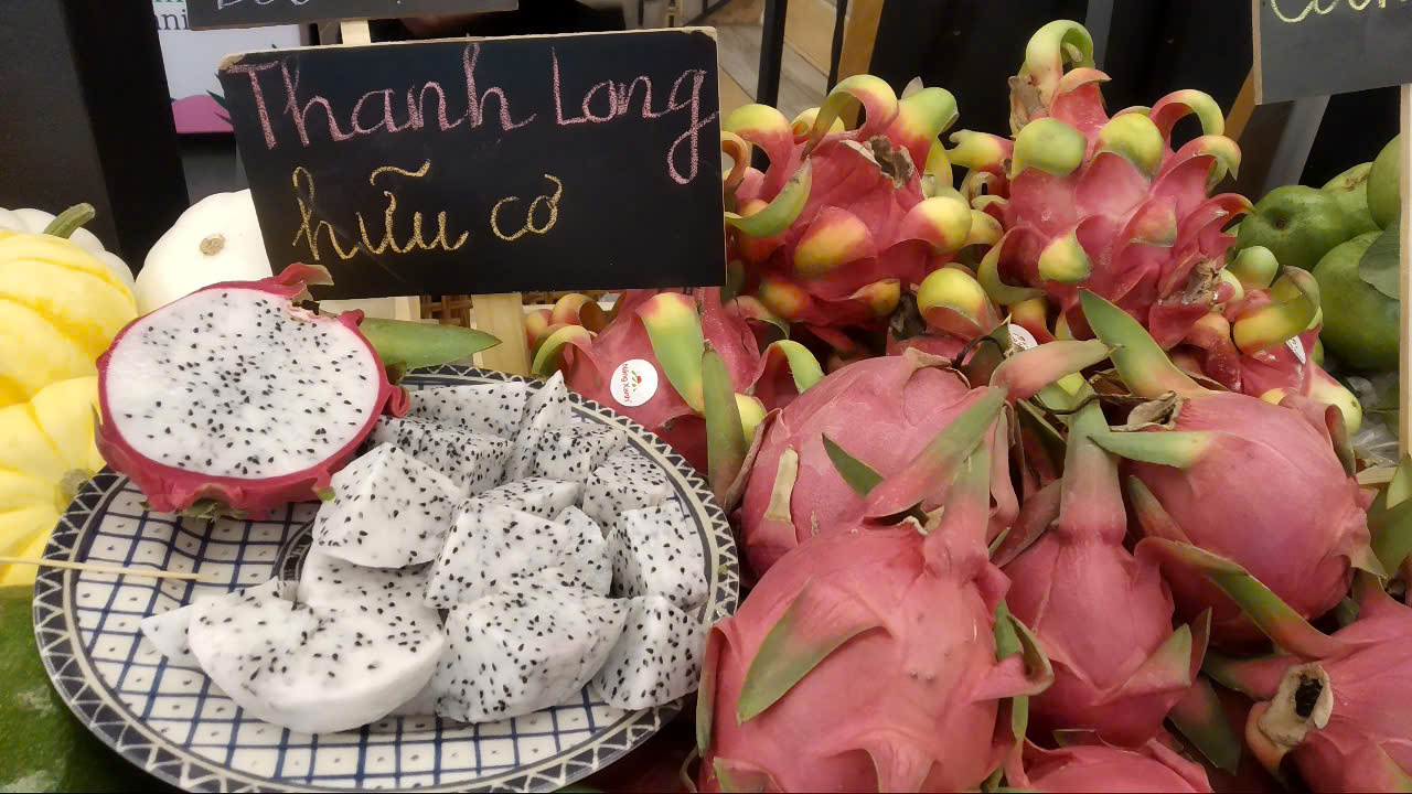 Không để thanh long xuất khẩu châu Âu từ loại A sang hàng dạt- Ảnh 1. Không để thanh long xuất khẩu châu Âu từ loại A sang hàng dạt- Ảnh 1.
