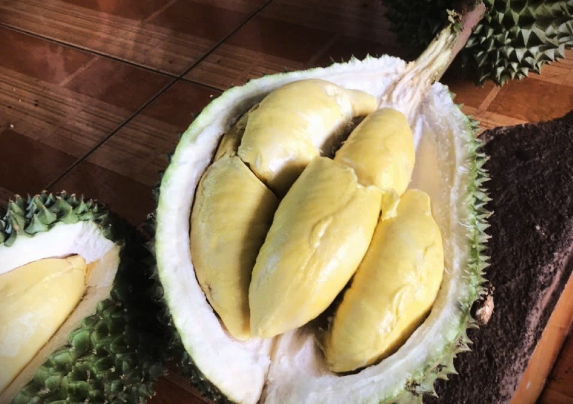 ‘Vua' của các loại sầu riêng bị chê, rớt giá thảm- Ảnh 1. ‘Vua' của các loại sầu riêng bị chê, rớt giá thảm- Ảnh 1.