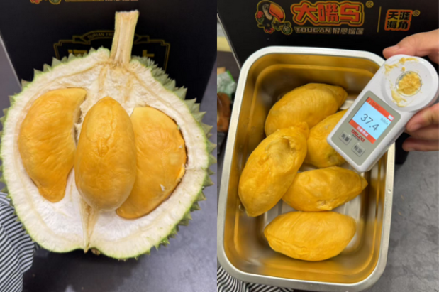Sầu riêng ‘made in China’ sắp đến ngày hái quả: Sở hữu 1 lợi thế 'ăn đứt' Thái Lan, Việt Nam - sản lượng ra sao?- Ảnh 1.