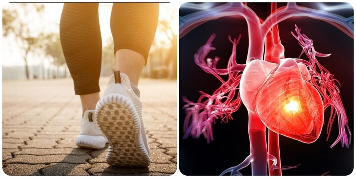Những kiểu đi bộ giúp cơ tim khoẻ mạnh- Ảnh 1. Những kiểu đi bộ giúp cơ tim khoẻ mạnh- Ảnh 1.