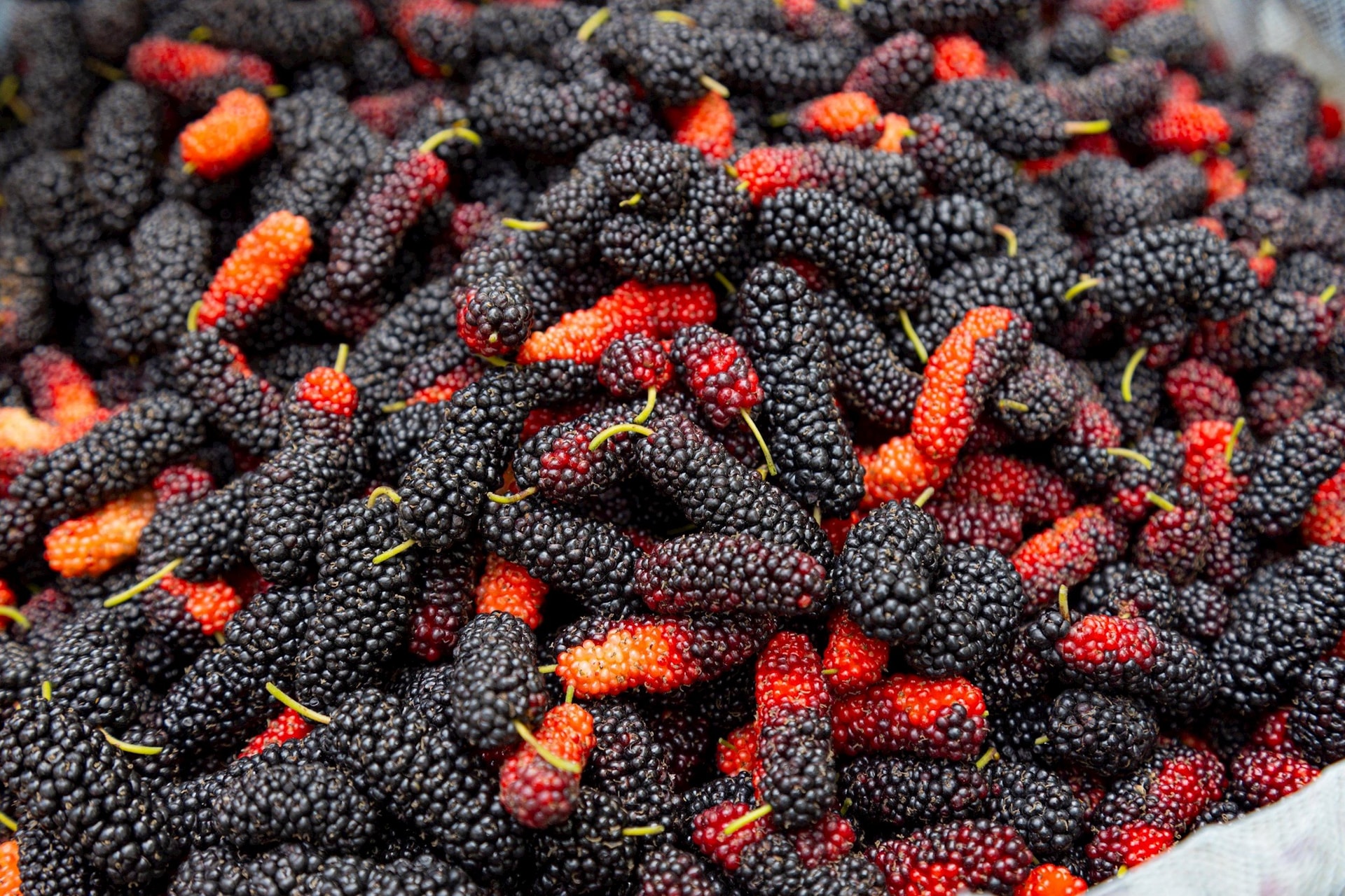 Người Việt có 5 món dân dã bổ ngang nhân sâm, phụ nữ ăn đều sẽ giảm rụng tóc, chống lão hóa, sức khỏe cải thiện rõ- Ảnh 3.