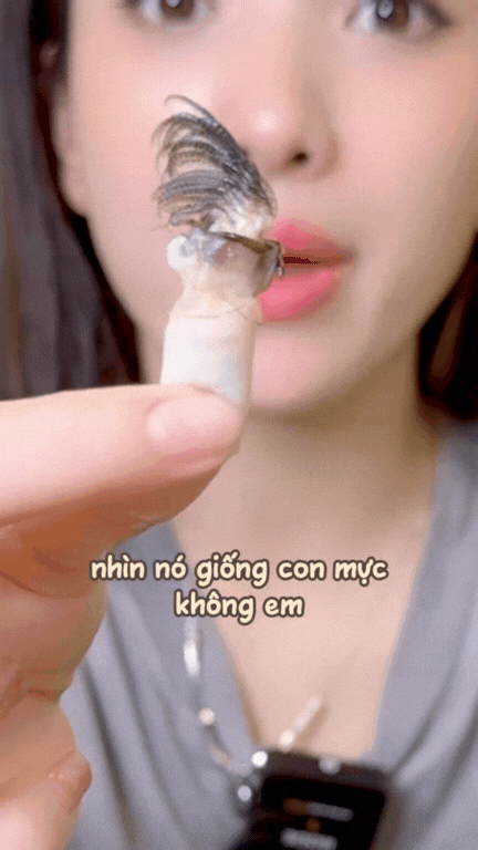 Loại ốc mang cái tên "rợn người" nhưng lại là "tinh hoa ẩm thực" khiến giới sành ăn mê mẩn: Khó bắt - giá đắt, ở Việt Nam chỉ vùng biển này mới có- Ảnh 14. Loại ốc mang cái tên "rợn người" nhưng lại là "tinh hoa ẩm thực" khiến giới sành ăn mê mẩn: Khó bắt - giá đắt, ở Việt Nam chỉ vùng biển này mới có- Ảnh 14.