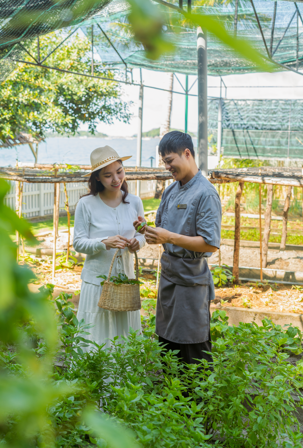 1 Resort ở nơi hút khách du lịch nhất Việt Nam vừa được “chứng nhận xanh” 2025: cảnh đẹp vô thực, du khách lẫn giới chuyên gia đều phải trầm trồ- Ảnh 2. 1 Resort ở nơi hút khách du lịch nhất Việt Nam vừa được “chứng nhận xanh” 2025: cảnh đẹp vô thực, du khách lẫn giới chuyên gia đều phải trầm trồ- Ảnh 2.