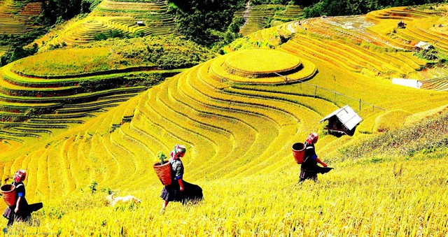 "Ngôi làng trên mây" của Việt Nam vừa lọt top 6 điểm đến cao nguyên ấn tượng nhất châu Á- Ảnh 4. "Ngôi làng trên mây" của Việt Nam vừa lọt top 6 điểm đến cao nguyên ấn tượng nhất châu Á- Ảnh 4.