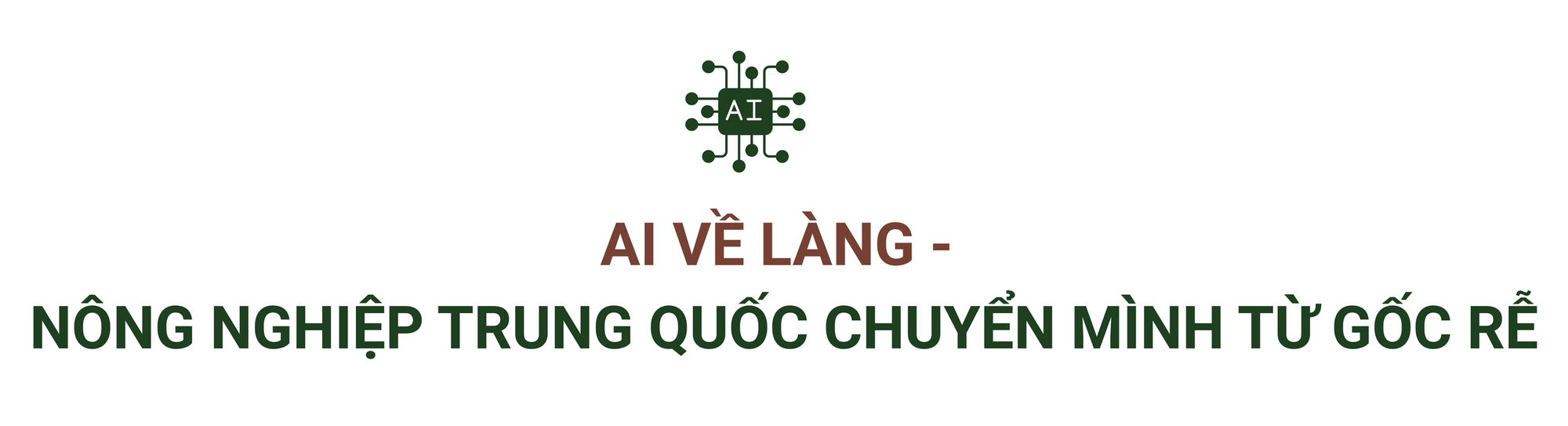 AI 'về làng' - chưa bao giờ việc bón phân, tưới nước ở thị trấn nhỏ này đơn giản như thế: Thời gian rút ngắn còn 1/10, tăng giá trị lại không thay thế con người- Ảnh 3. AI 'về làng' - chưa bao giờ việc bón phân, tưới nước ở thị trấn nhỏ này đơn giản như thế: Thời gian rút ngắn còn 1/10, tăng giá trị lại không thay thế con người- Ảnh 3.