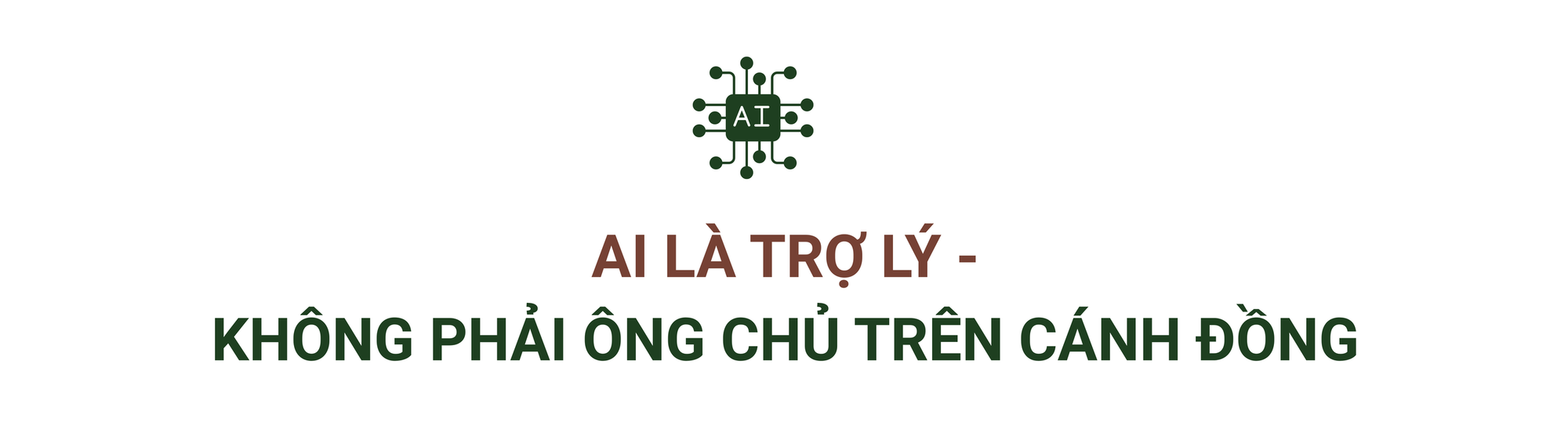 AI 'về làng' - chưa bao giờ việc bón phân, tưới nước ở thị trấn nhỏ này đơn giản như thế: Thời gian rút ngắn còn 1/10, tăng giá trị lại không thay thế con người- Ảnh 6. AI 'về làng' - chưa bao giờ việc bón phân, tưới nước ở thị trấn nhỏ này đơn giản như thế: Thời gian rút ngắn còn 1/10, tăng giá trị lại không thay thế con người- Ảnh 6.