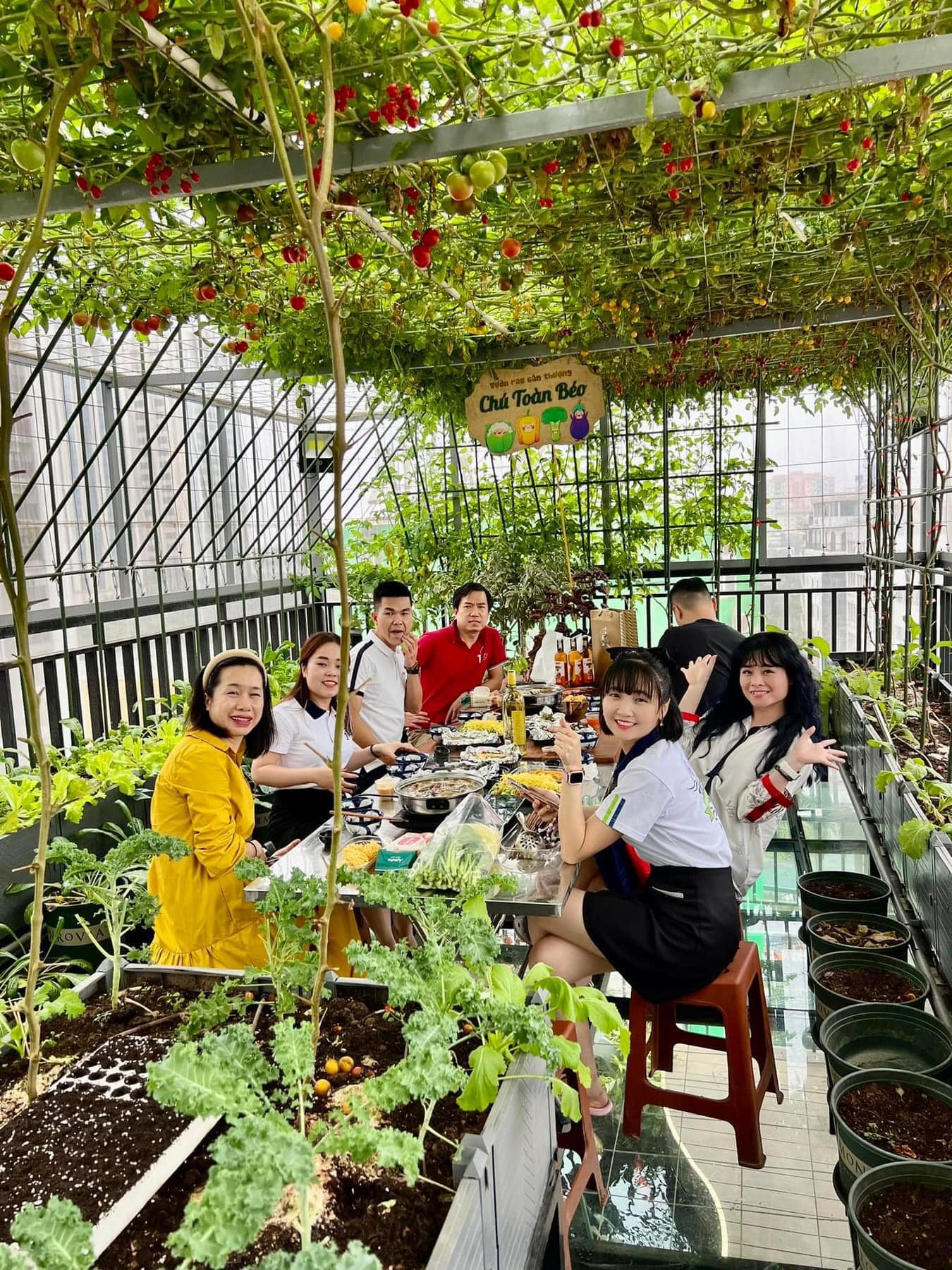 Gửi rau thay lời cảm ơn: Ông bố Hà Nội biến sân thượng thành vườn, tặng nông sản cho người ủng hộ thiện nguyện- Ảnh 6. Gửi rau thay lời cảm ơn: Ông bố Hà Nội biến sân thượng thành vườn, tặng nông sản cho người ủng hộ thiện nguyện- Ảnh 6.
