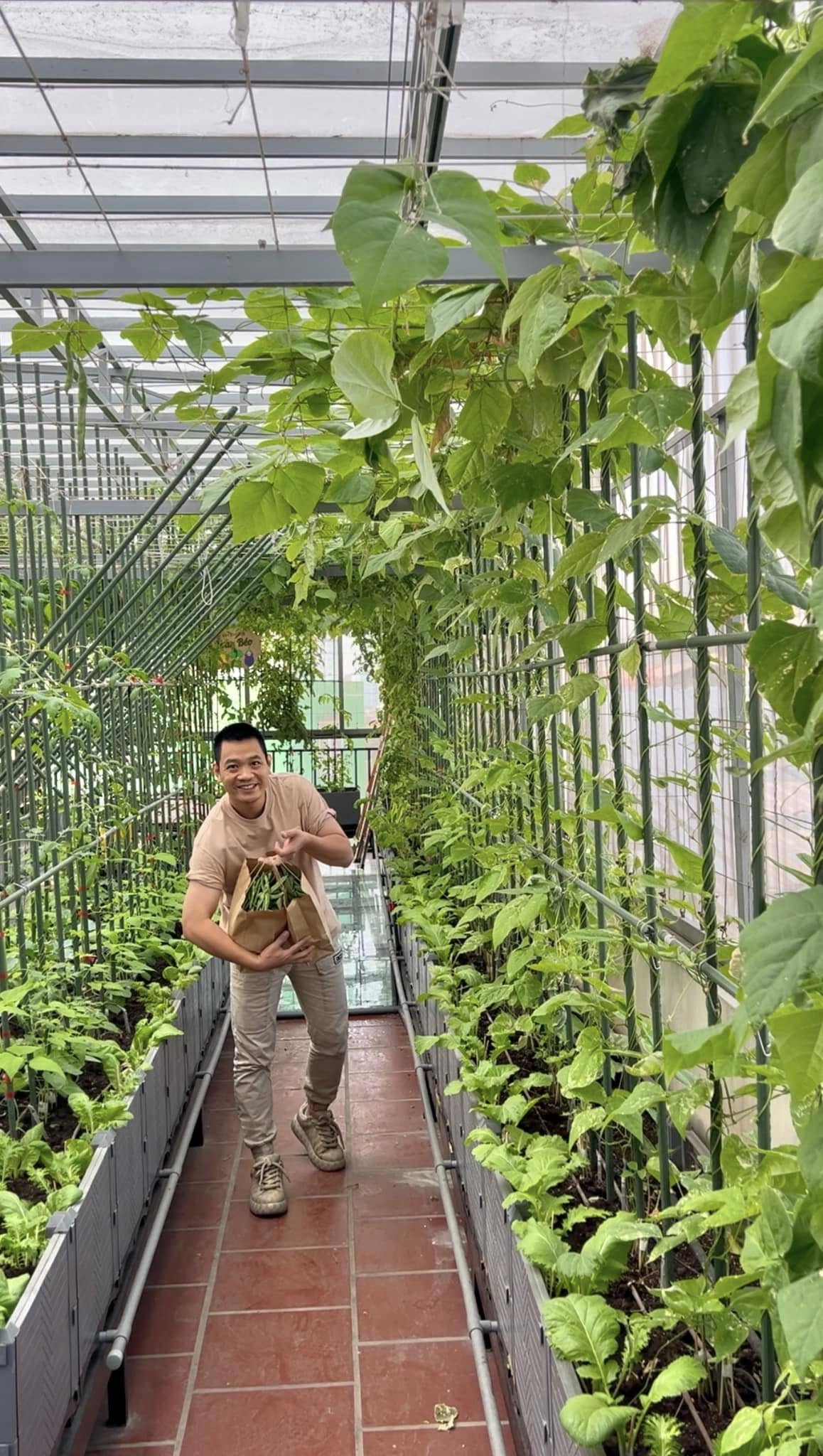 Gửi rau thay lời cảm ơn: Ông bố Hà Nội biến sân thượng thành vườn, tặng nông sản cho người ủng hộ thiện nguyện- Ảnh 13. Gửi rau thay lời cảm ơn: Ông bố Hà Nội biến sân thượng thành vườn, tặng nông sản cho người ủng hộ thiện nguyện- Ảnh 13.