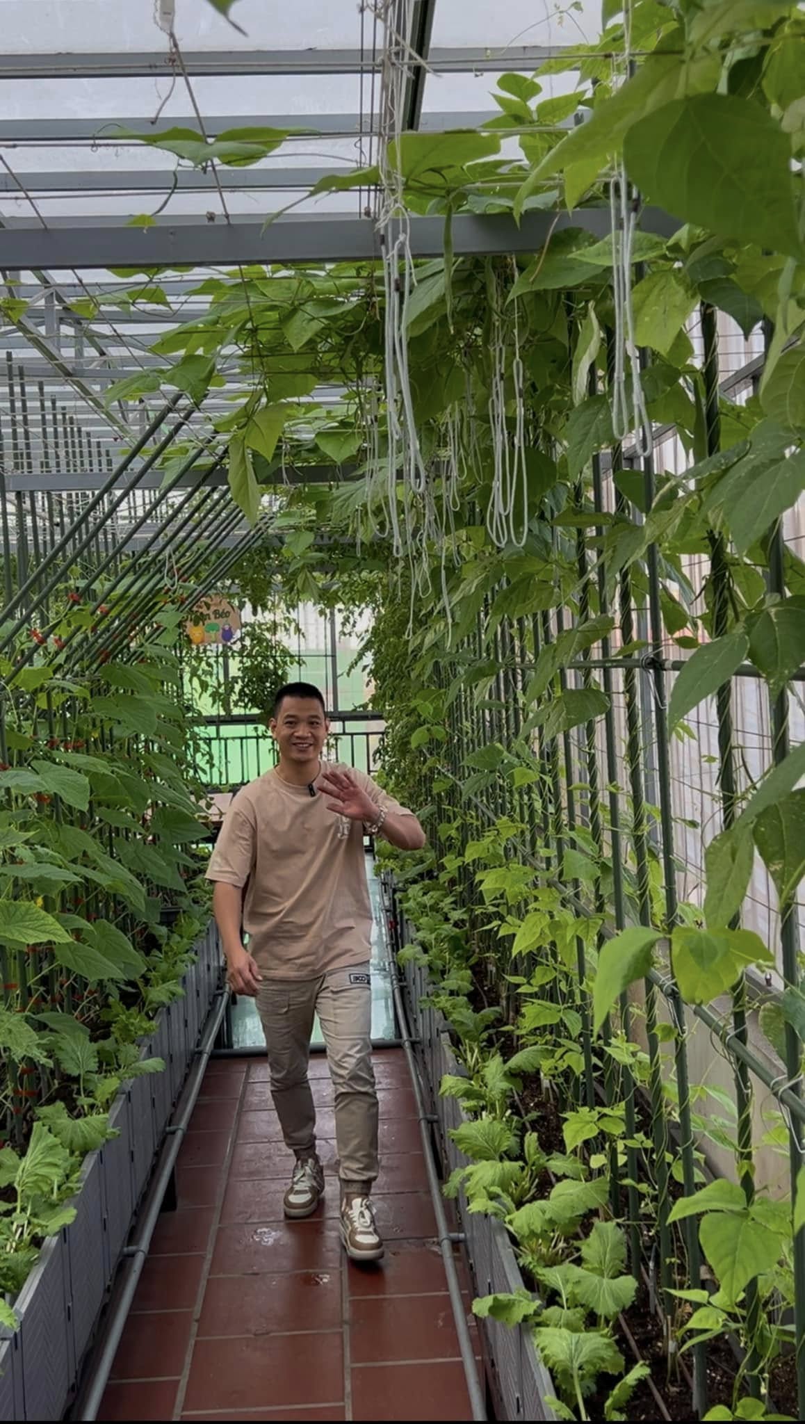 Gửi rau thay lời cảm ơn: Ông bố Hà Nội biến sân thượng thành vườn, tặng nông sản cho người ủng hộ thiện nguyện- Ảnh 10. Gửi rau thay lời cảm ơn: Ông bố Hà Nội biến sân thượng thành vườn, tặng nông sản cho người ủng hộ thiện nguyện- Ảnh 10.