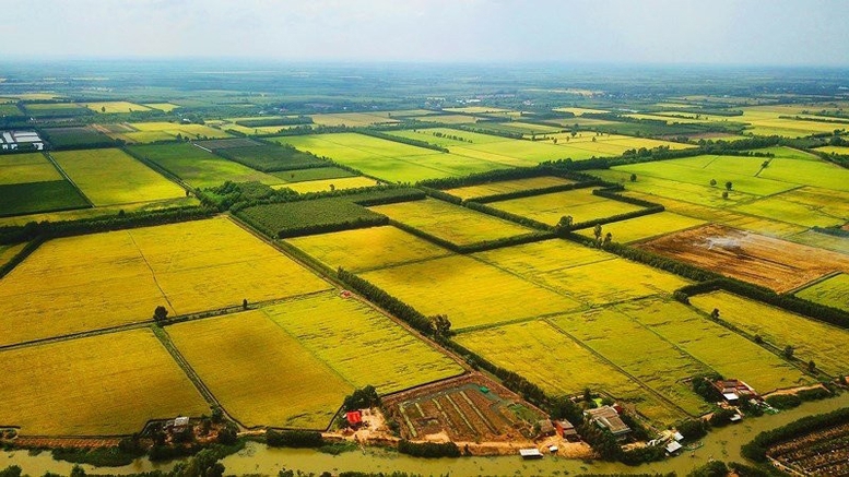 Đề xuất quy định hướng dẫn việc kéo dài thời hạn miễn thuế sử dụng đất nông nghiệp- Ảnh 1. Đề xuất quy định hướng dẫn việc kéo dài thời hạn miễn thuế sử dụng đất nông nghiệp- Ảnh 1.