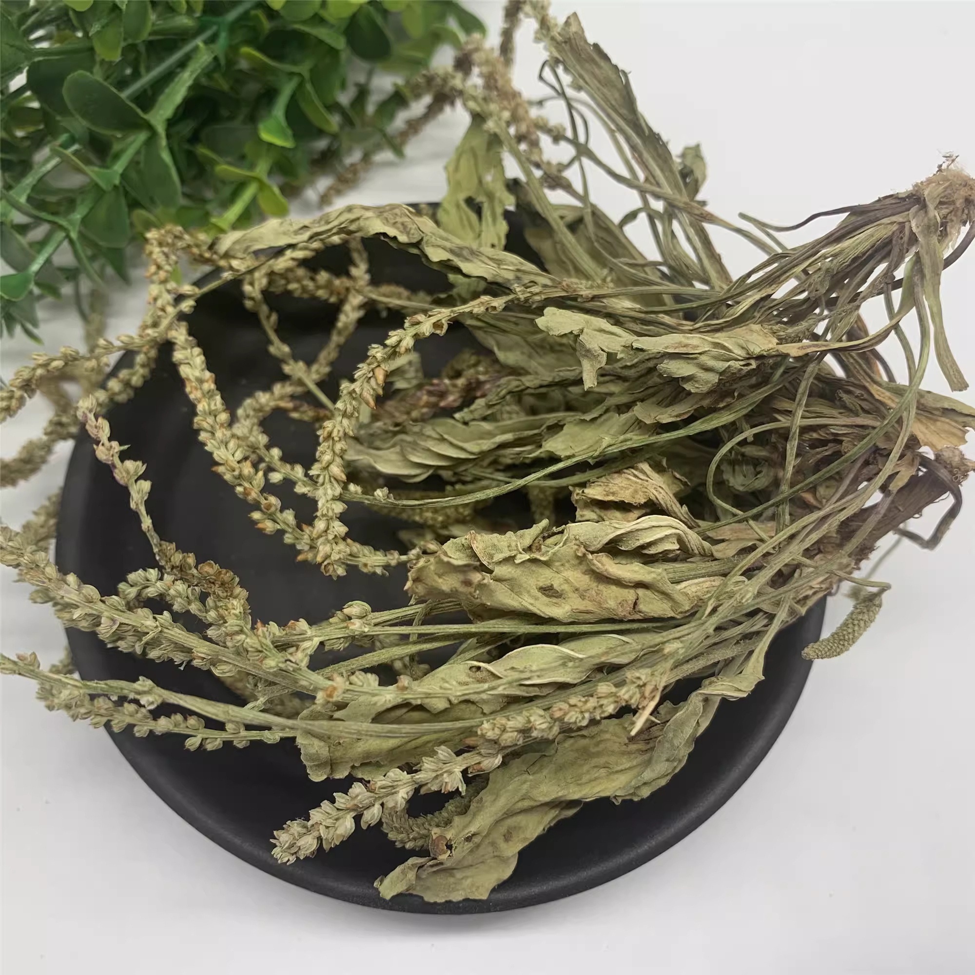 Việt Nam có loại cây mọc dại, người Trung Quốc coi là ‘cỏ tài lộc’: Hóa ra là vị thuốc quý- Ảnh 3. Việt Nam có loại cây mọc dại, người Trung Quốc coi là ‘cỏ tài lộc’: Hóa ra là vị thuốc quý- Ảnh 3.