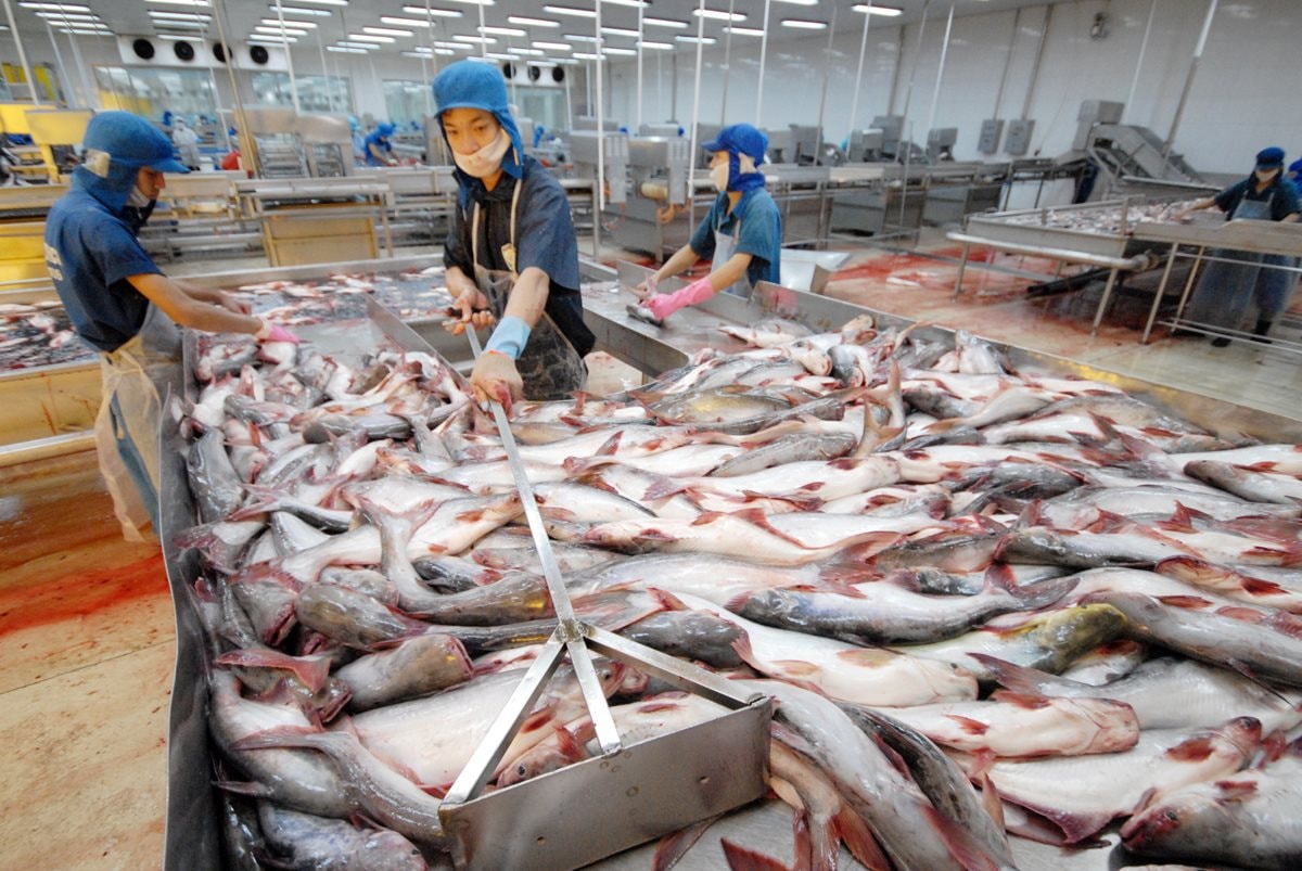 "Vũ khí mới made in Vietnam" của ngành kinh tế tỷ đô- Ảnh 1. "Vũ khí mới made in Vietnam" của ngành kinh tế tỷ đô- Ảnh 1.
