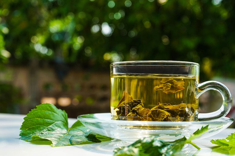 Việt Nam có loại lá chống rụng tóc, kích thích mọc tóc cực tốt: Biết dùng còn giảm mỡ máu, chống ung thư- Ảnh 4. Việt Nam có loại lá chống rụng tóc, kích thích mọc tóc cực tốt: Biết dùng còn giảm mỡ máu, chống ung thư- Ảnh 4.