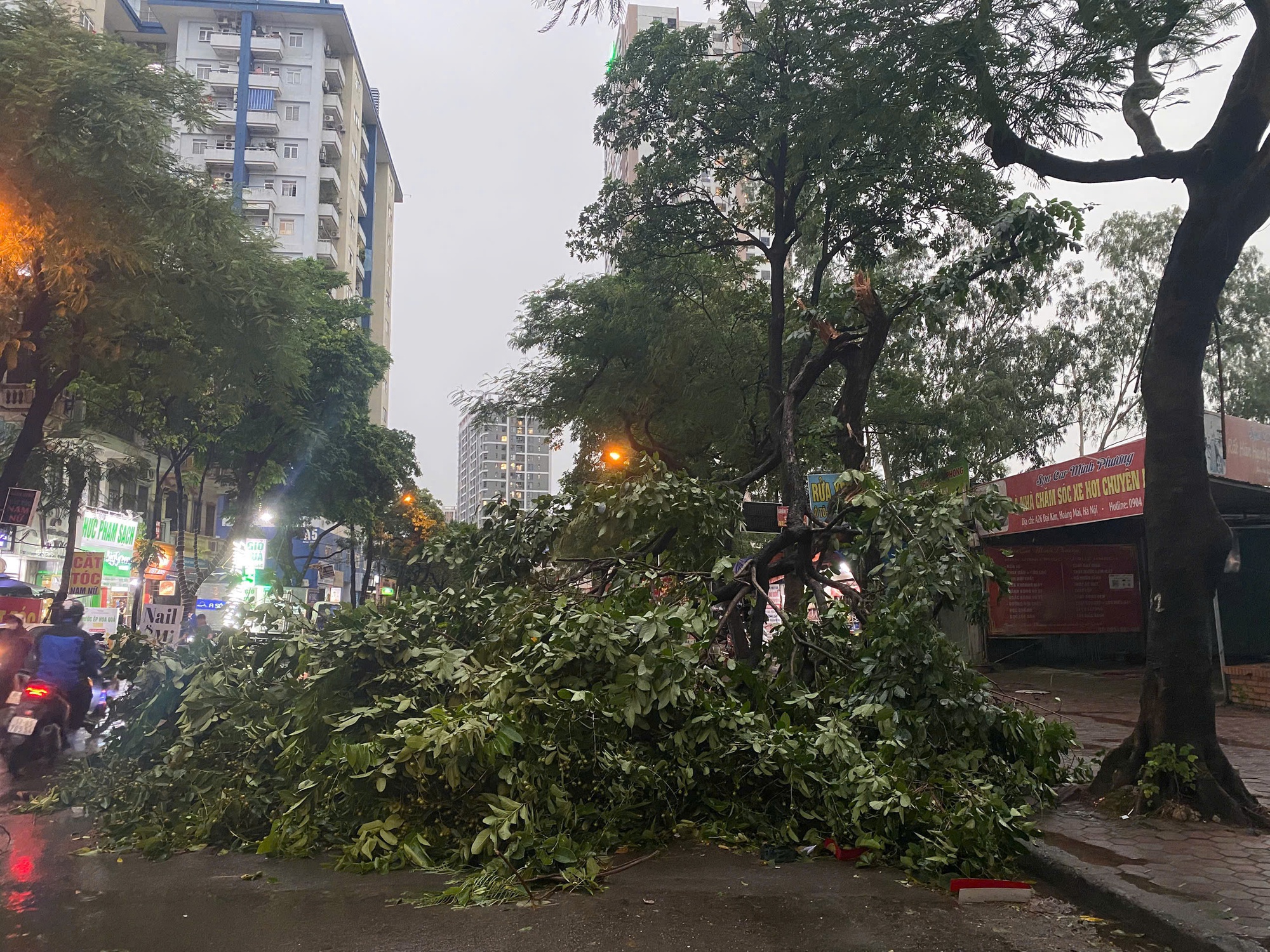 Chùm ảnh: Đường phố Hà Nội tan hoang sau cơn giông kinh hoàng, cây xanh bật gốc và gãy đổ hàng loạt- Ảnh 2.
