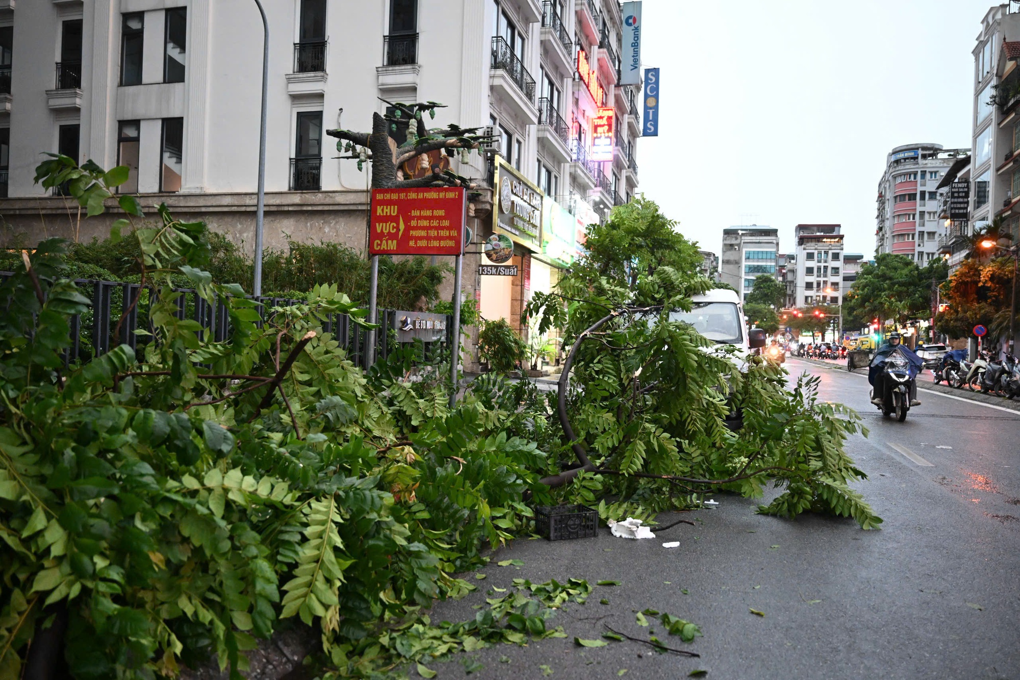 Chùm ảnh: Đường phố Hà Nội tan hoang sau cơn giông kinh hoàng, cây xanh bật gốc và gãy đổ hàng loạt- Ảnh 8.