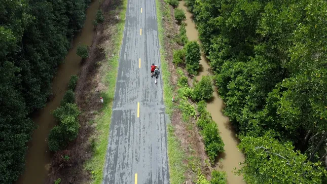 Chú ngỗng cực khôn cùng chủ đi bộ xuyên Việt, được trả ngàn đô cũng không bán- Ảnh 1.