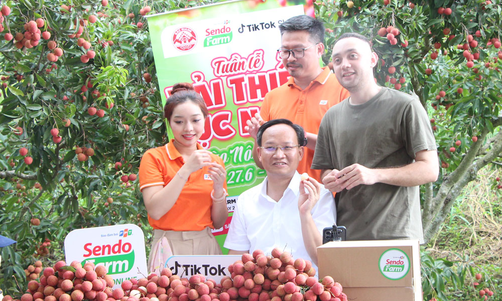 Lần đầu tiên Phó Chủ tịch Bắc Ninh livestream chốt đơn hàng chục tấn vải chỉ trong một buổi sáng- Ảnh 1.