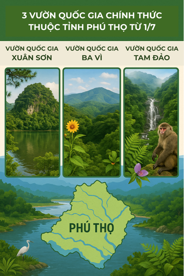 Sau sáp nhập, tỉnh này có 3 Vườn Quốc gia: 'Độc nhất' ở miền Bắc, cách Hà Nội gần 100km- Ảnh 1.