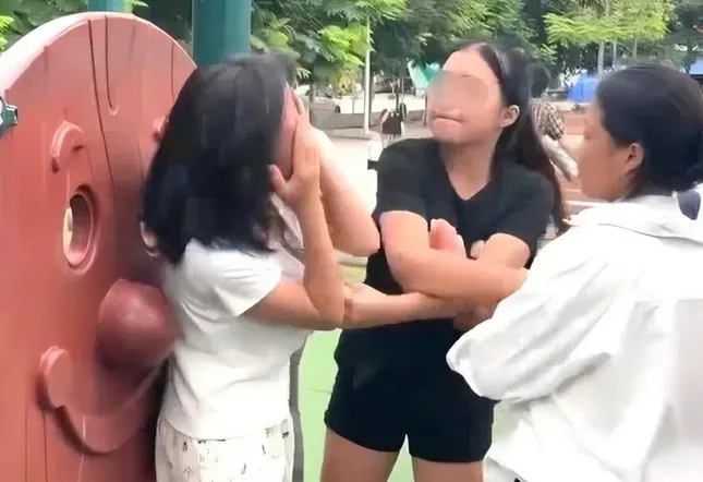 Công an xác minh đối tượng hành hung cô gái tại công viên- Ảnh 1.