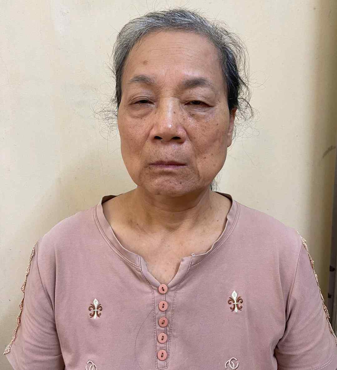 Bắt Mai Thị Hạ về hành vi lợi dụng quyền tự do dân chủ- Ảnh 1.