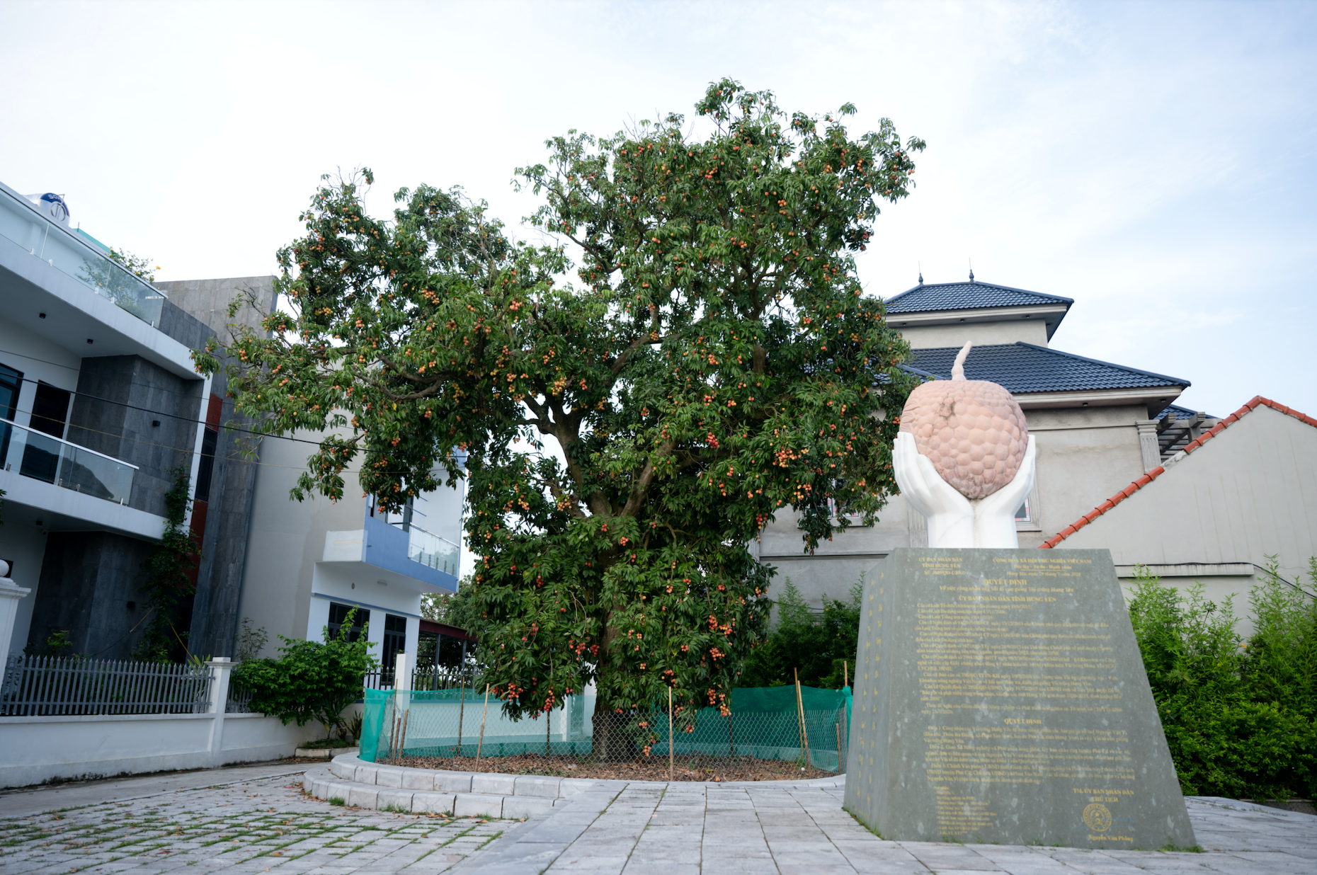 Bắc Ninh chính thức không còn là tỉnh nhỏ nhất Việt Nam sau 1 đêm ngủ dậy: Cái tên thay thế rất đặc biệt!- Ảnh 3.