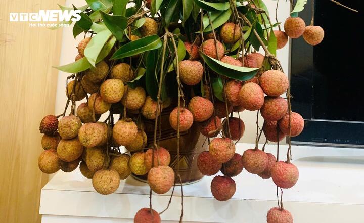 7 nhóm người nên hạn chế ăn vải- Ảnh 1.