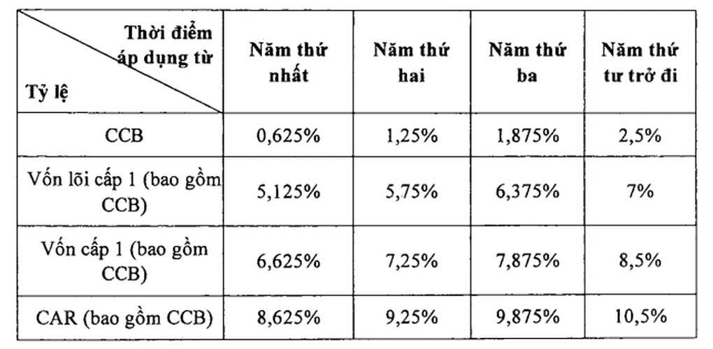 Muốn chia lợi nhuận bằng tiền mặt ngân hàng phải vượt qua '4 lớp vốn'- Ảnh 2.