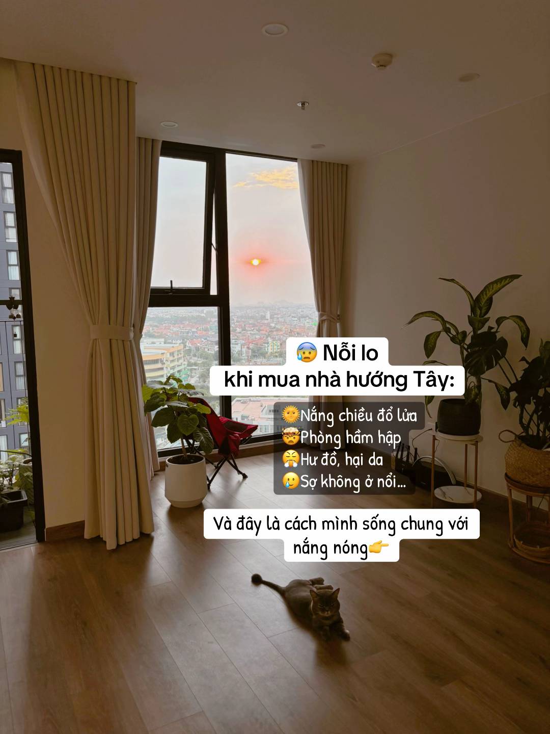 3 cách chống nóng hiệu quả cho nhà hướng Tây: Vợ chồng trẻ ở Hà Nội áp dụng và thấy mát hẳn sau 1 tuần- Ảnh 2. 3 cách chống nóng hiệu quả cho nhà hướng Tây: Vợ chồng trẻ ở Hà Nội áp dụng và thấy mát hẳn sau 1 tuần- Ảnh 2.