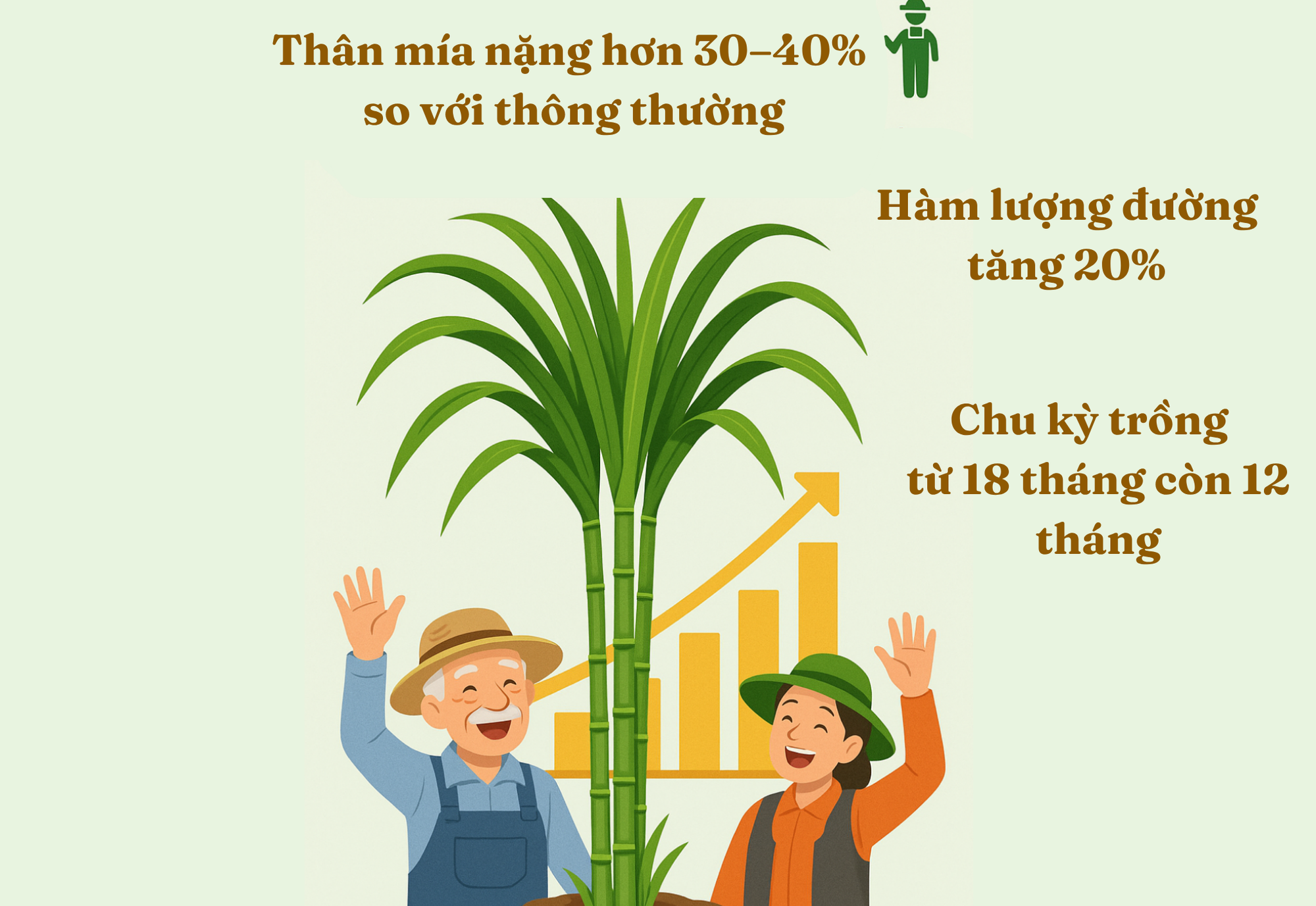 Khi loại nông sản tỷ đô của Ấn Độ gặp khó: AI, dữ liệu vệ tinh, cảm biến đất, máy bay không người lái lập tức vào cuộc- Ảnh 5.
