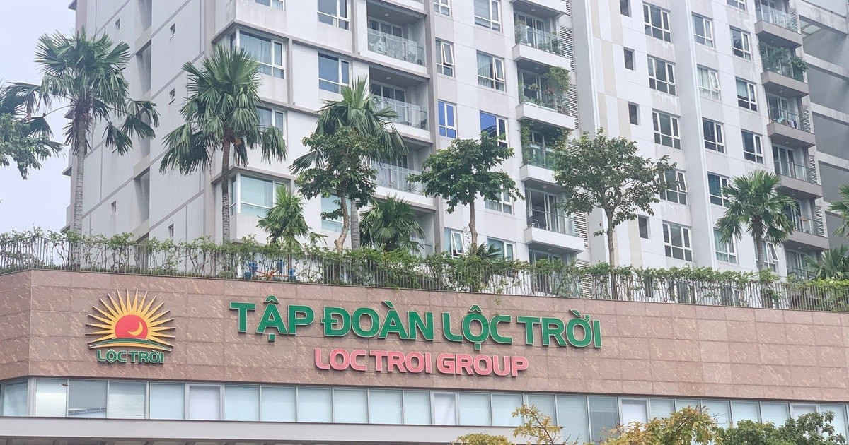 Tập đoàn Lộc Trời báo lỗ trước đại hội cổ đông- Ảnh 1.
