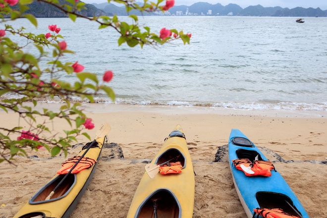 Phát hiện hòn đảo nhìn thẳng ra đảo Cát Bà, rộng chưa tới 1km2, du khách nhận xét: "Lần đầu nghe tên"- Ảnh 4.