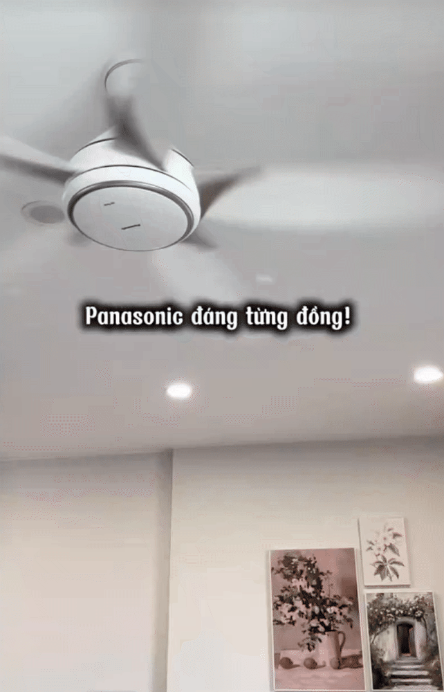 3 cách chống nóng hiệu quả cho nhà hướng Tây: Vợ chồng trẻ ở Hà Nội áp dụng và thấy mát hẳn sau 1 tuần- Ảnh 7. 3 cách chống nóng hiệu quả cho nhà hướng Tây: Vợ chồng trẻ ở Hà Nội áp dụng và thấy mát hẳn sau 1 tuần- Ảnh 7.