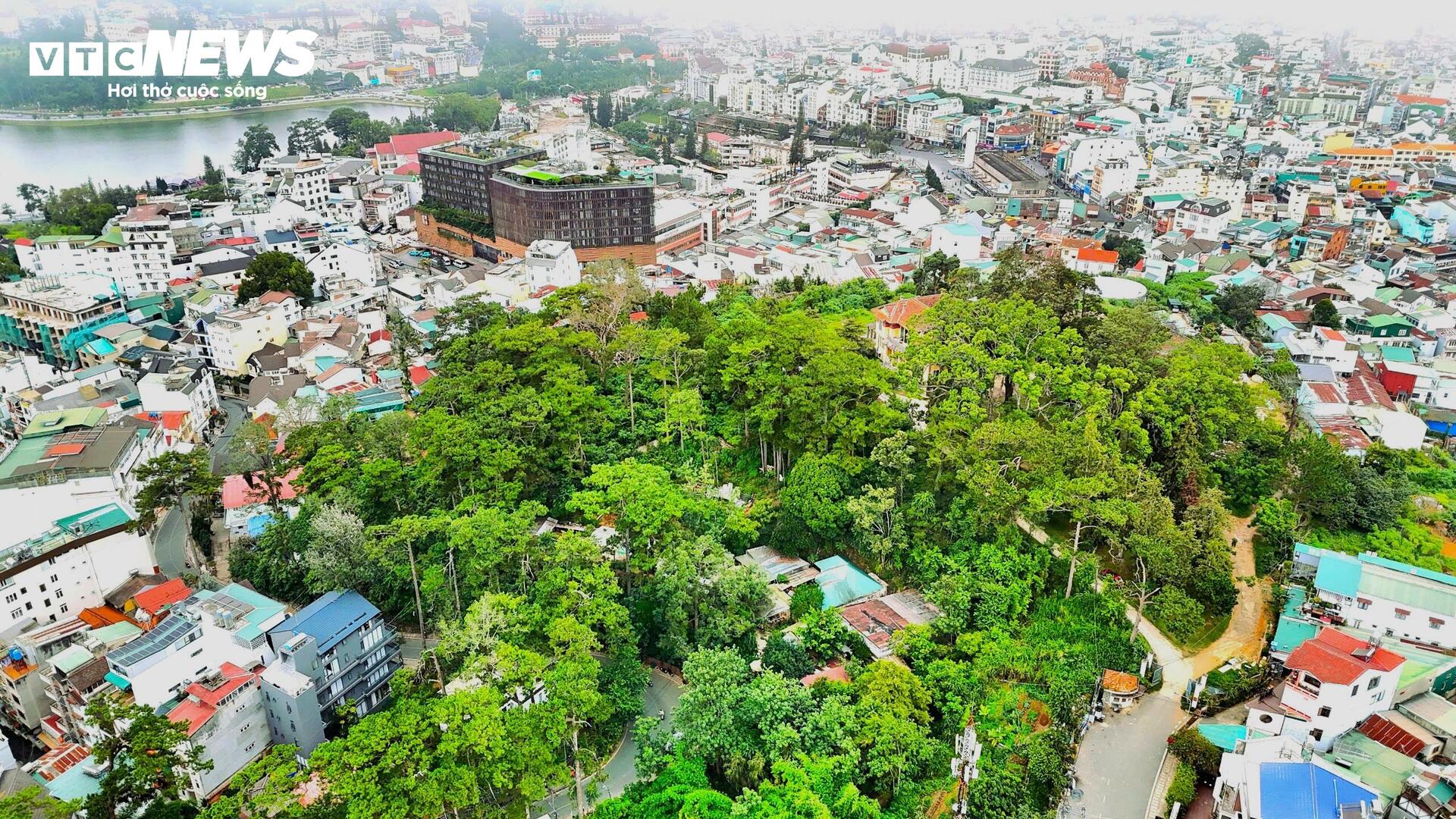 Ngắm Dinh Tỉnh trưởng hơn trăm tuổi – nơi níu giữ hồn xưa Đà Lạt- Ảnh 2.